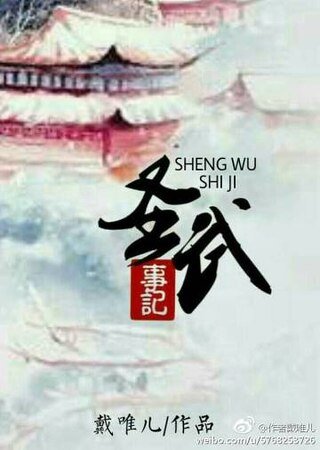 《圣武事记》