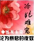 冷妃难宠:沦为暴君的夜奴