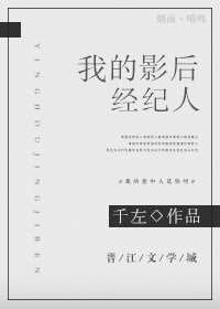 《爱豆成了我对象之后》