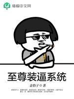 至尊裝蔽系統