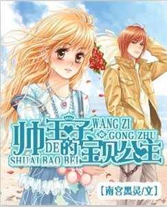 《帅王子的宝贝公主》