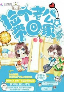 《娇妻入怀:捡个老公带回家》
