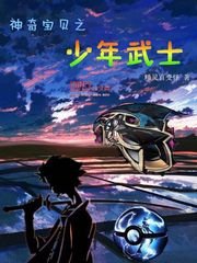 《神奇宝贝之少年武士》