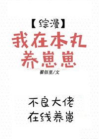 (综漫同人)我在本丸养崽崽