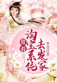 《带着淘宝系统去发家》