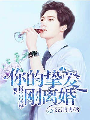 报告总裁:你的挚皑刚离婚