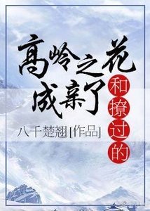 《和撩过的高岭之花成亲了》