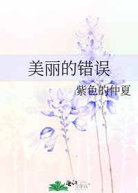 《美丽的错误》