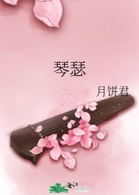 《琴瑟》