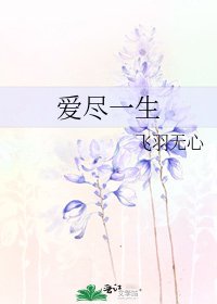 《爱尽一生》