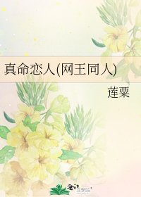 《真命恋人(网王同人)》