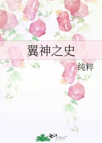 《翼神之史》