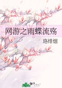 《网游之雨蝶流殇》