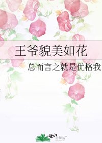 《王爷貌美如花》