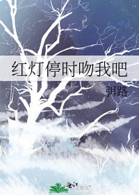红灯停时吻我吧