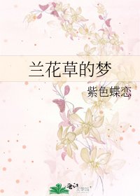 《兰花草的梦》