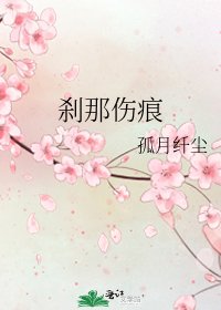 《刹那伤痕》