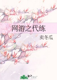 《网游之代练》