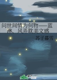 《问世间情为何物——蓝淋、风弄耽美文感》
