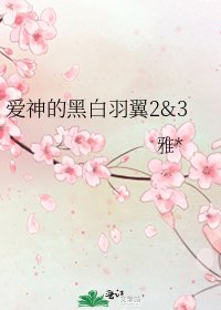 《爱神的黑白羽翼2&3》