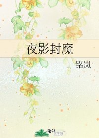 《夜影封魔》