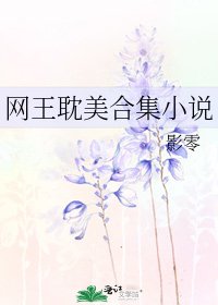 《网王耽美合集》