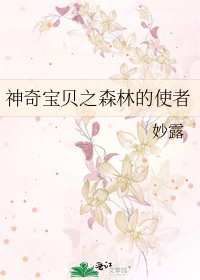 《神奇宝贝之森林的使者》