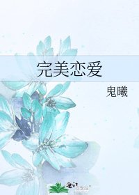 完美恋爱