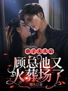 《虐了夫人後,顧總他又火葬場了》
