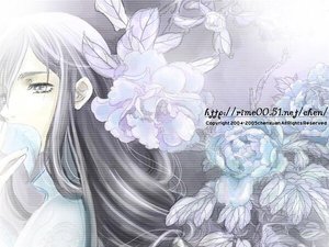 《素罗》